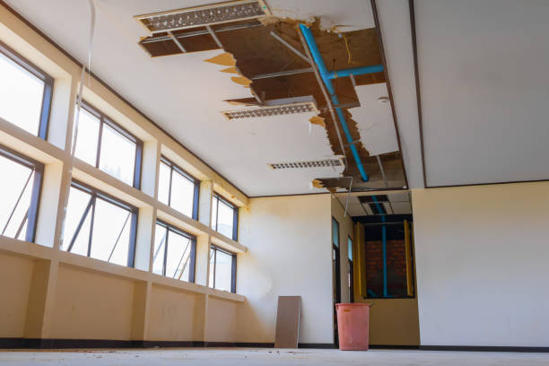 Best 24-hour water damage restoration  in East Missoula, MT
