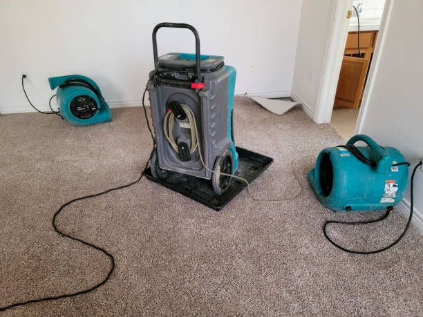 Local water damage restoration in MT