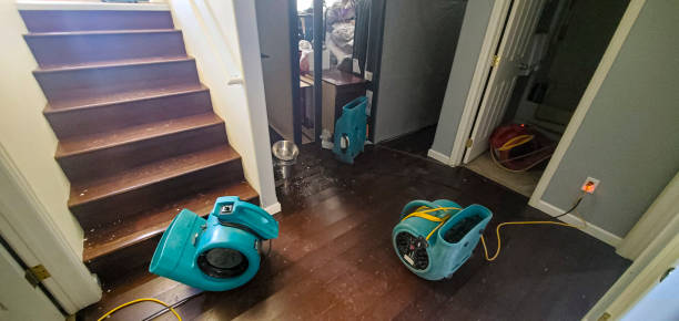 Best Flood restoration services  in East Missoula, MT