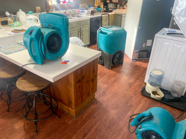Best Carpet water damage restoration  in East Missoula, MT