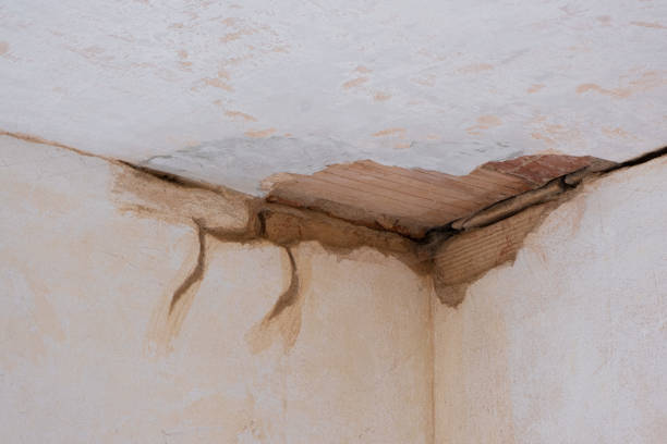 Best Water damage restoration near me  in East Missoula, MT