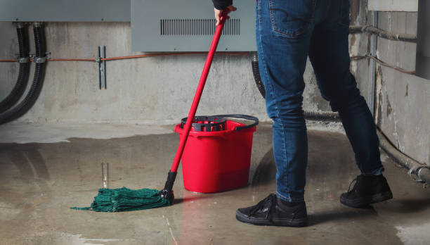 Best Water damage restoration cost  in East Missoula, MT