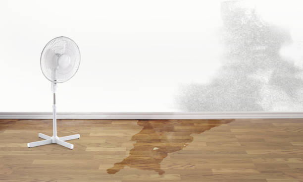 Best Basement water damage restoration  in East Missoula, MT