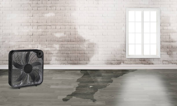  East Missoula, MT Water damage restoration Pros