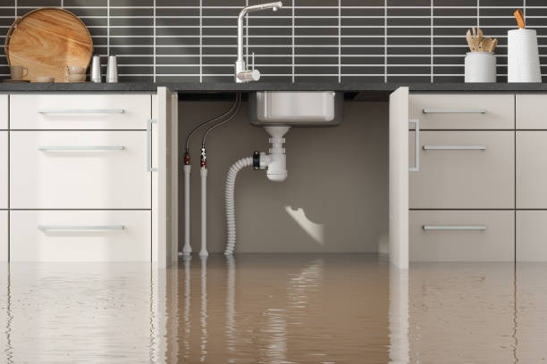 Best Fire Damage Restoration  in East Missoula, MT