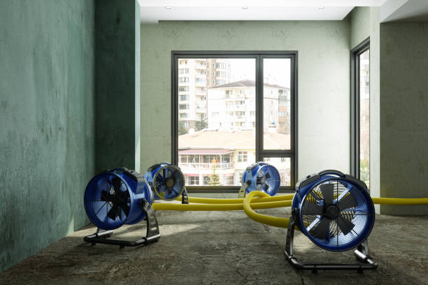 Best Mold removal after water damage  in East Missoula, MT