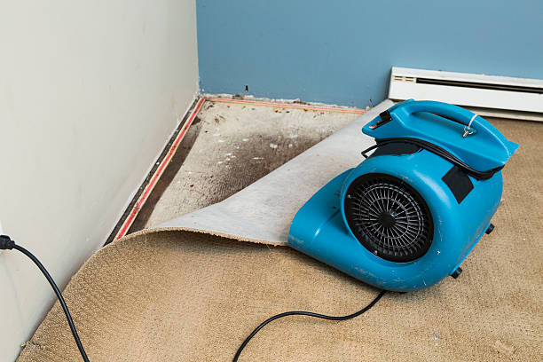 Best 24-hour water damage restoration  in East Missoula, MT